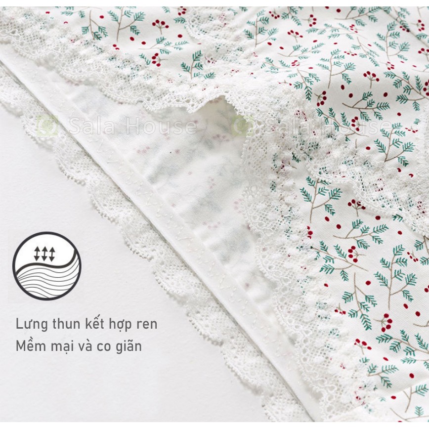 Set 4 Quần Lót Bầu Cotton Kháng Khuẩn Mềm Mịn, Co Giãn Tốt - QL18