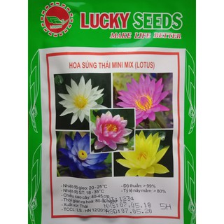 Set 5 Hạt Hoa Súng Mini Thái Lan