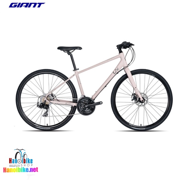 Xe đạp Touring Giant LIV ALIGHT 2 2020