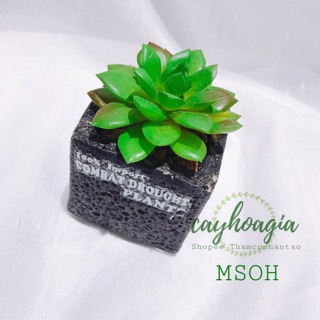 Cây Giả - Chậu Sen Đá Hoa Sen MSOH