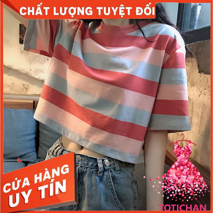 Áo Thun Croptop Tay Ngắn Hoạ Tiết Kẻ Sọc Thiết Kế Dáng Rộng Thoải Mái MINO AT22