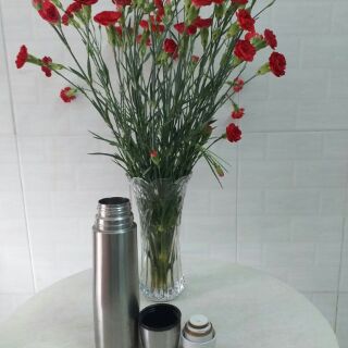 Bình giữ nhiệt 500ml hàng bãi nhật
