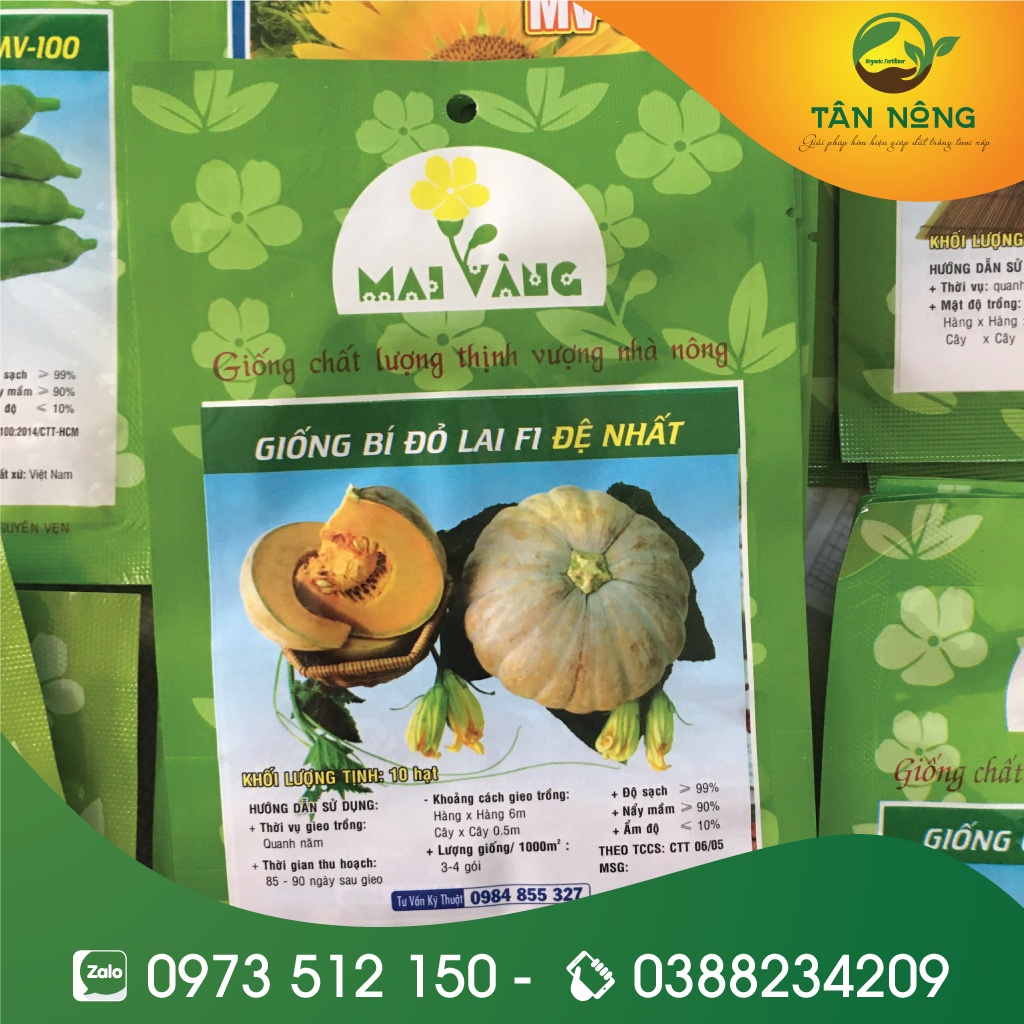 10 Hạt giống bí đỏ trái tròn