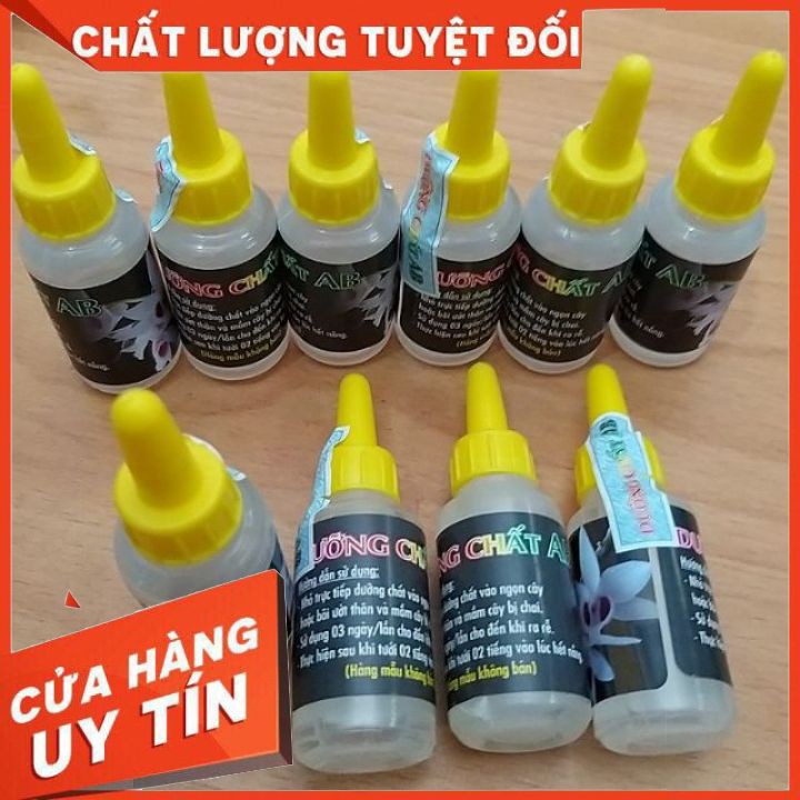 💢💢💢 Dưỡng Chất AB – Phục Hồi Cây Bị Sốc Thuốc, Không Ra Rễ, Thân Chai Lì Không Nhú Mầm 💢💢💢