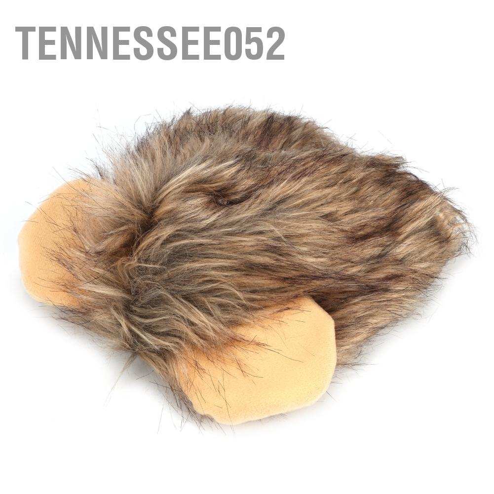 Bờm sư tử giả xinh xắn vui nhộn cho mèo sáng tạo dễ thương Tennessee052