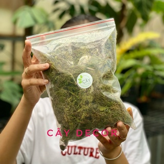 Rêu rừng tươi nhiều ứng dụng trồng cây, bonsai, thủy sinh túi 100gr và 500gr
