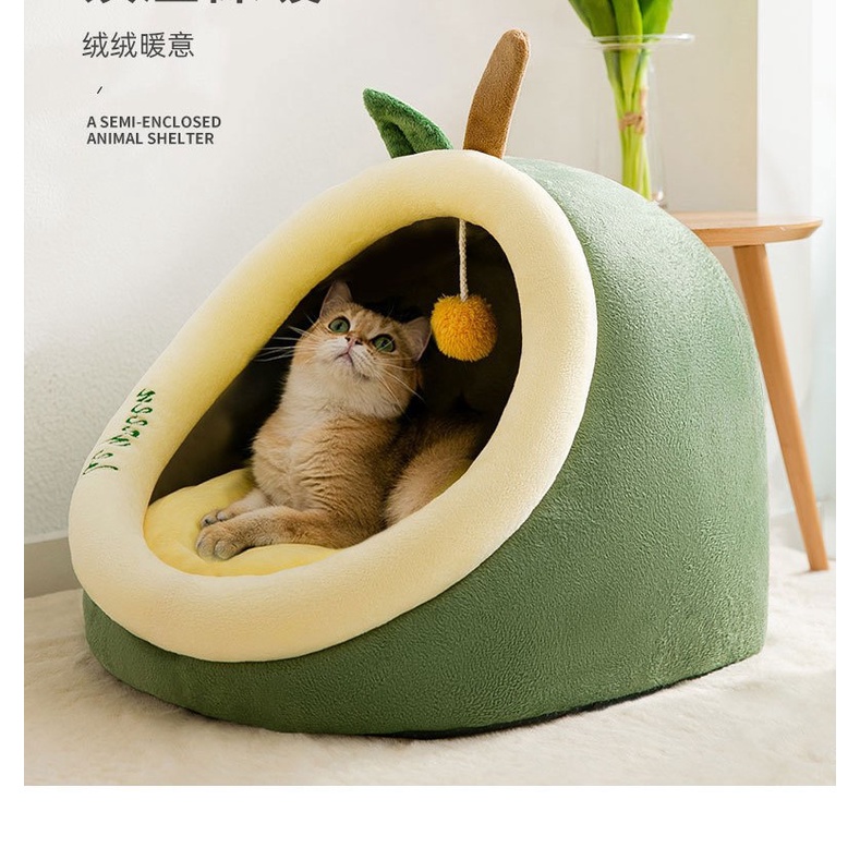 nhà ngủ cute cho chó mèo