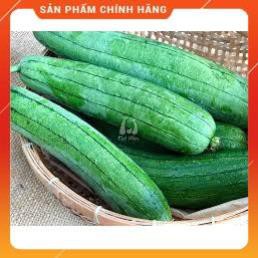 VNUA - HẠT GIỐNG MƯỚP HƯƠNG 7 LÁ F1 GÓI 2 GRAM