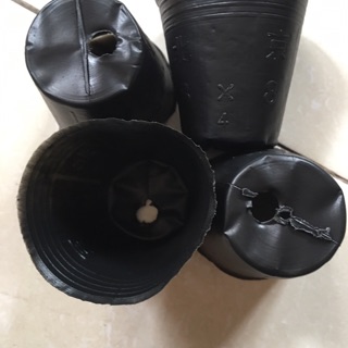 Bầu ươm cây size nhỏ 8-8(1kg)