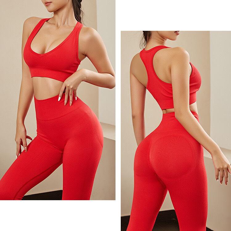 Bộ Tập Yoga Gym 8051 Dệt Kim Nhung Tăm Cổ V Khoét Sâu Cuốn Hút