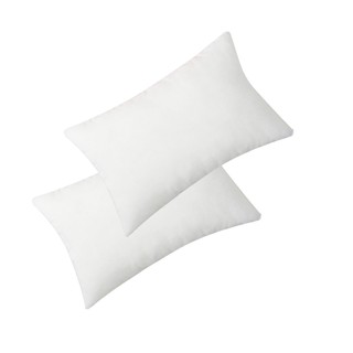 Combo 2 ruột gối nằm 45cm x 65cm - 0,7 kg (Trắng)