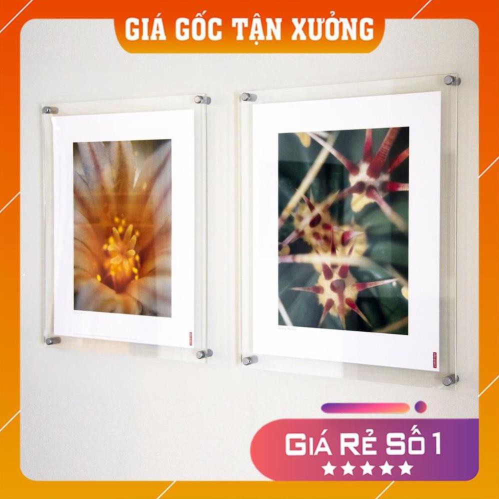 [Mica Việt Nam] [Giá Gốc Tận Xưởng] Khung ảnh mica treo tường khổ A3