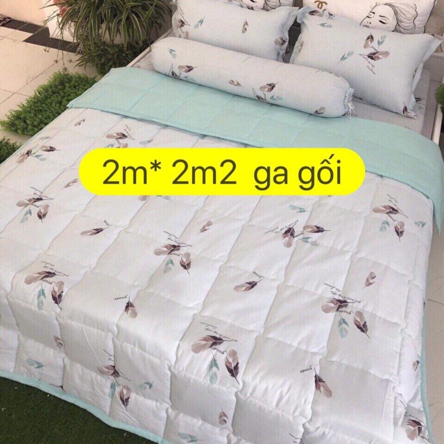 Ga gối đũi 2m