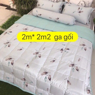 Ga gối đũi 2m