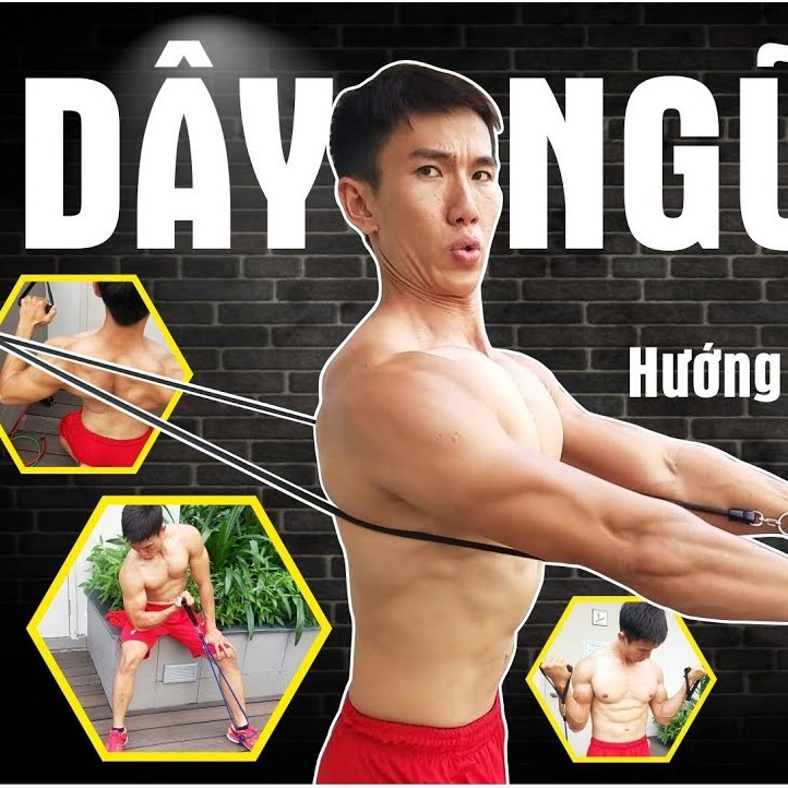 BỘ 5 DÂY NGŨ SẮC TẬP GYM ĐÀN HỒI Chính Hãng