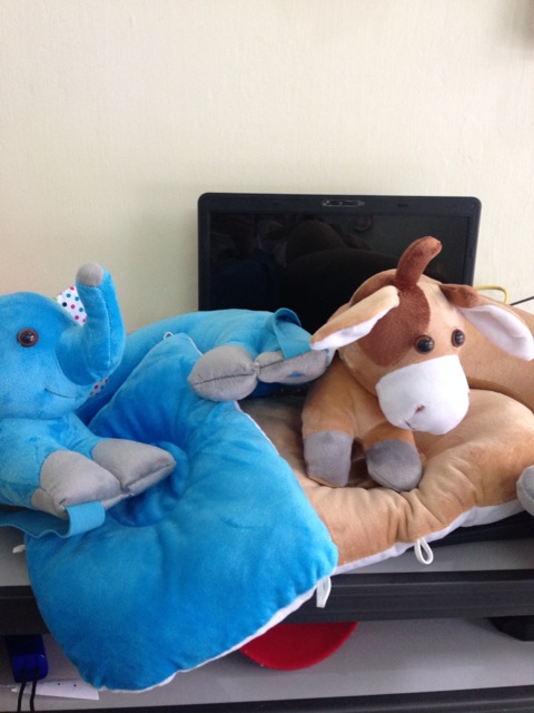 Bộ gối cho bé yêu 3 in 1