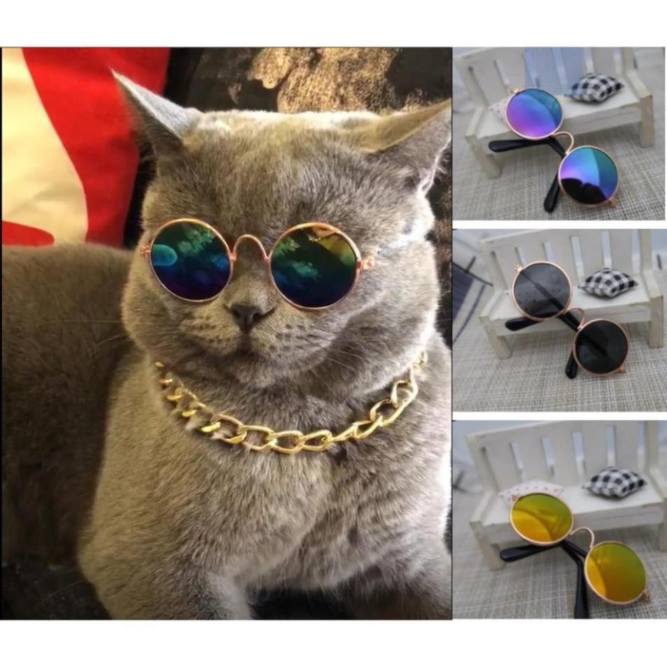 Kính chó mèo gọng vàng kính mát cho thú cưng chống tia UV (One size) hcm