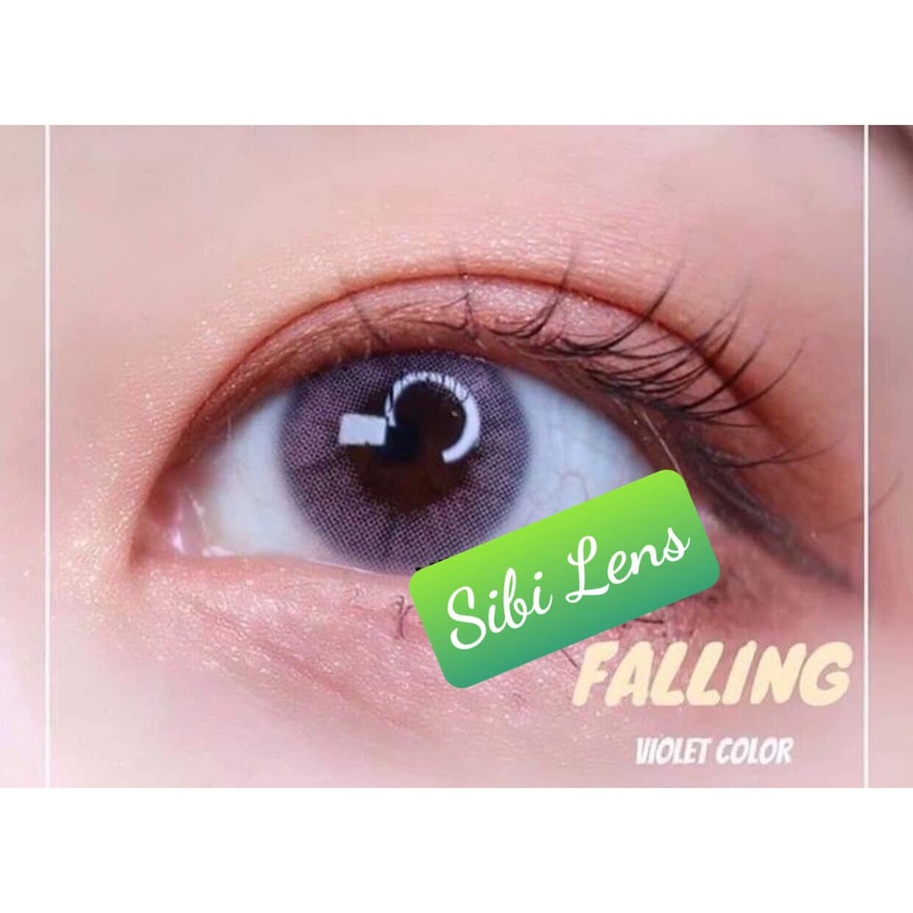 Lens Falling violet - Chuẩn lens Thái- Cam Kết Chính Hãng