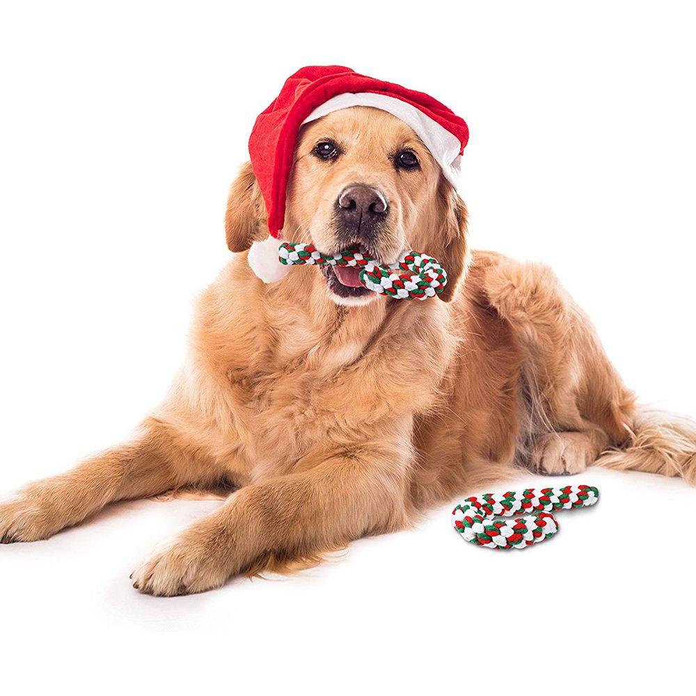 Nickolas Gậy Đồ Chơi Mềm Mại Màu Kẹo Giáng Sinh Dành Cho Cún Cưng