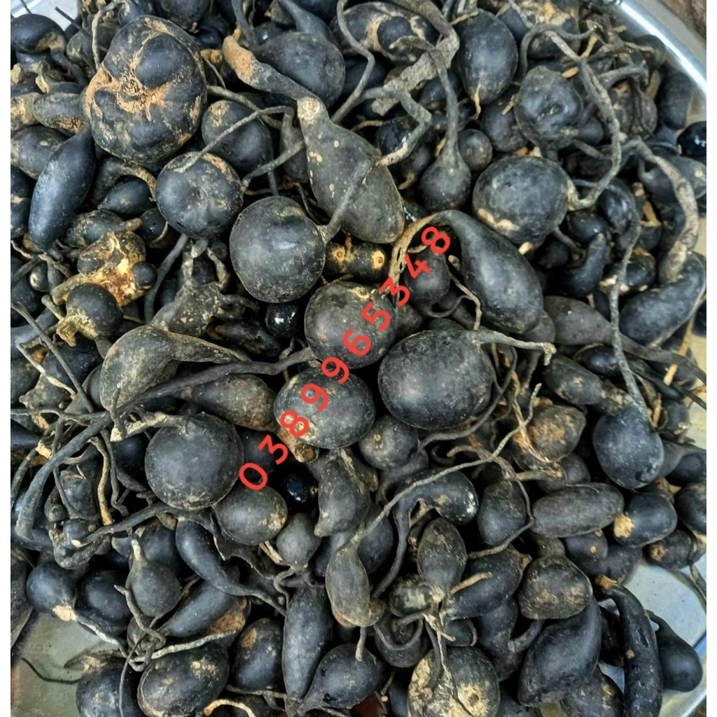 Sâm ô linh Măng Đen đã ngâm qua rươu trợ thủ phái mạnh 300 gr