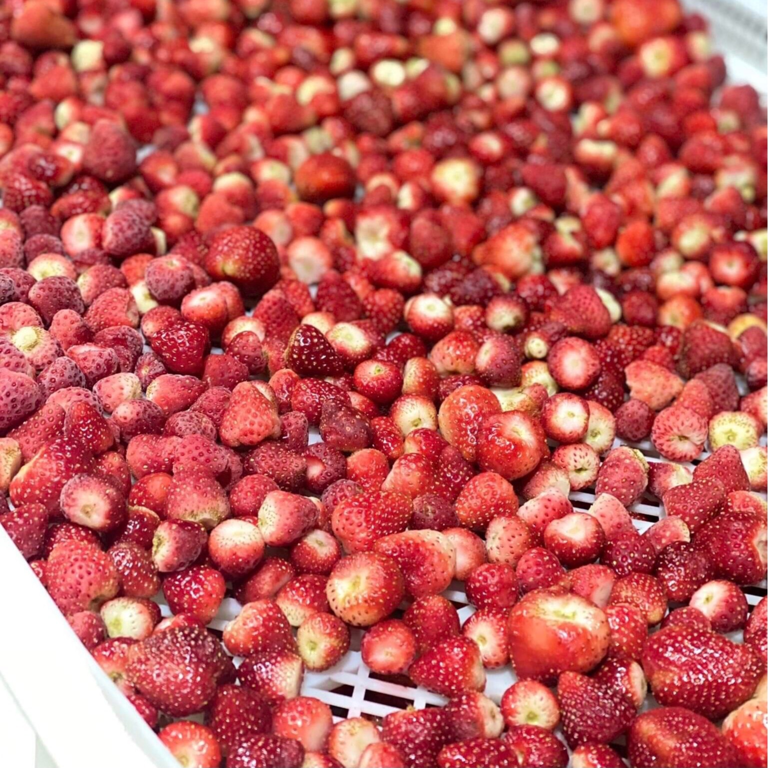 Thi Huong - Tea & Food