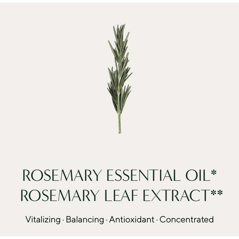 Dầu gội chăm sóc da đầu 400ml + 1+1 PROMO AROMATICA SCALP CARE SHAMPOO 400ml