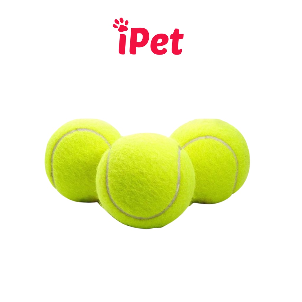 Đồ chơi banh tennis cho chó mèo - iPet Shop