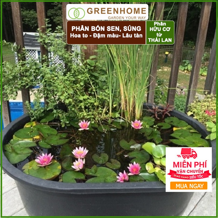 Phân bón hoa Sen, vỉ 14 viên, cây thuỷ sinh, ngập nước, cho hoa to, hoa đậm màu, lâu tàn, tốt lá |Greenhome