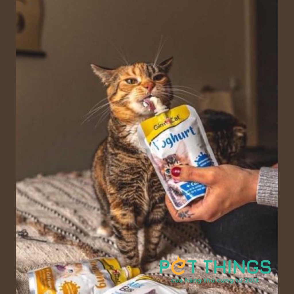 Sữa tươi / Sữa chua / Pudding Gim Cat cho mèo