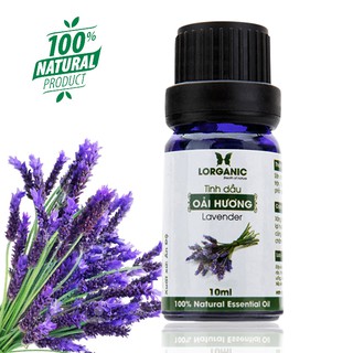 Tinh dầu oải hương nguyên chất Lavender 100% Natural Essential Oil 10ml