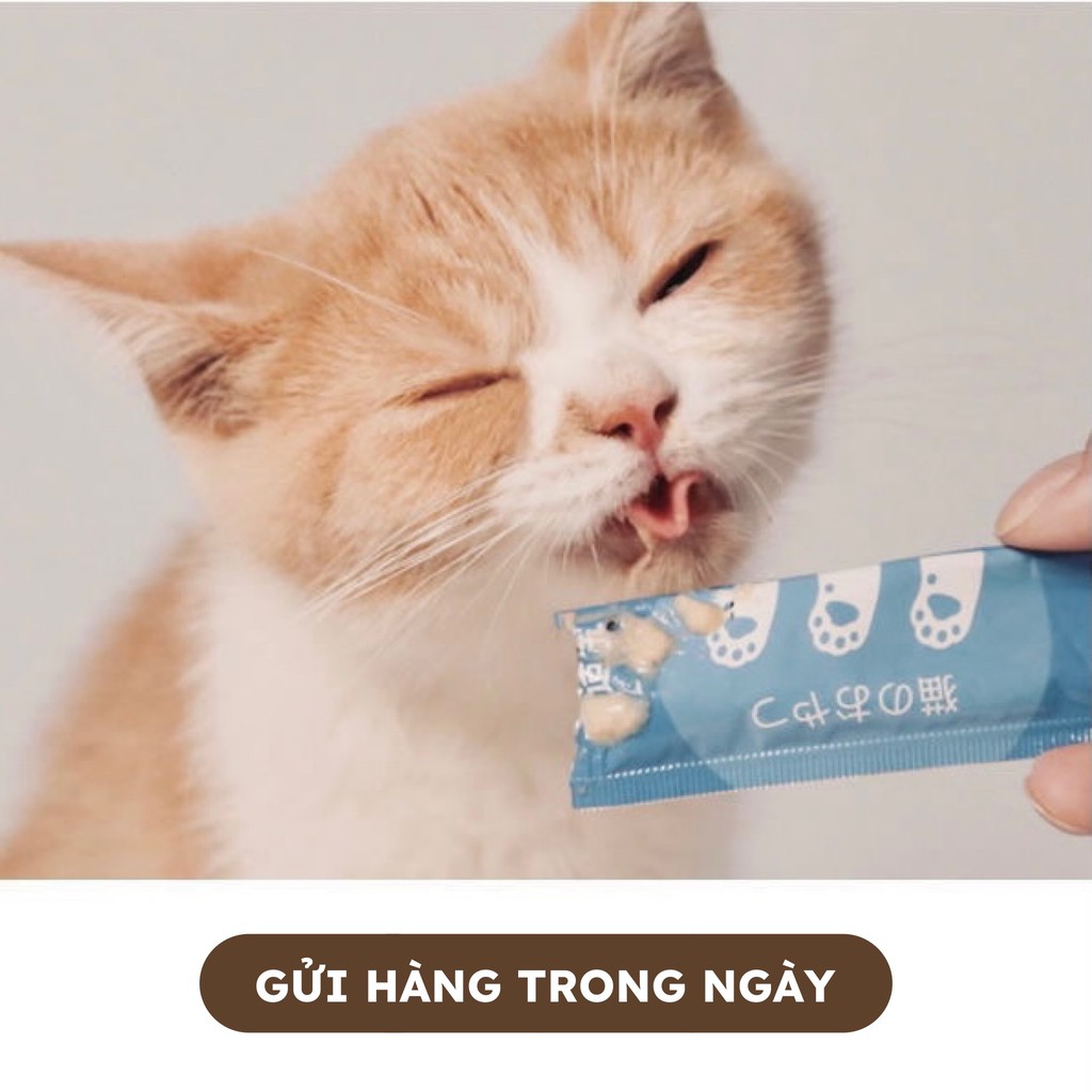Súp thưởng cho mèo Cat Snack - soup thưởng  3 vị mới siêu thơm ngon