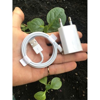 Combo Cóc sạc và cáp sạc USB-Light (Củ Dẹt)