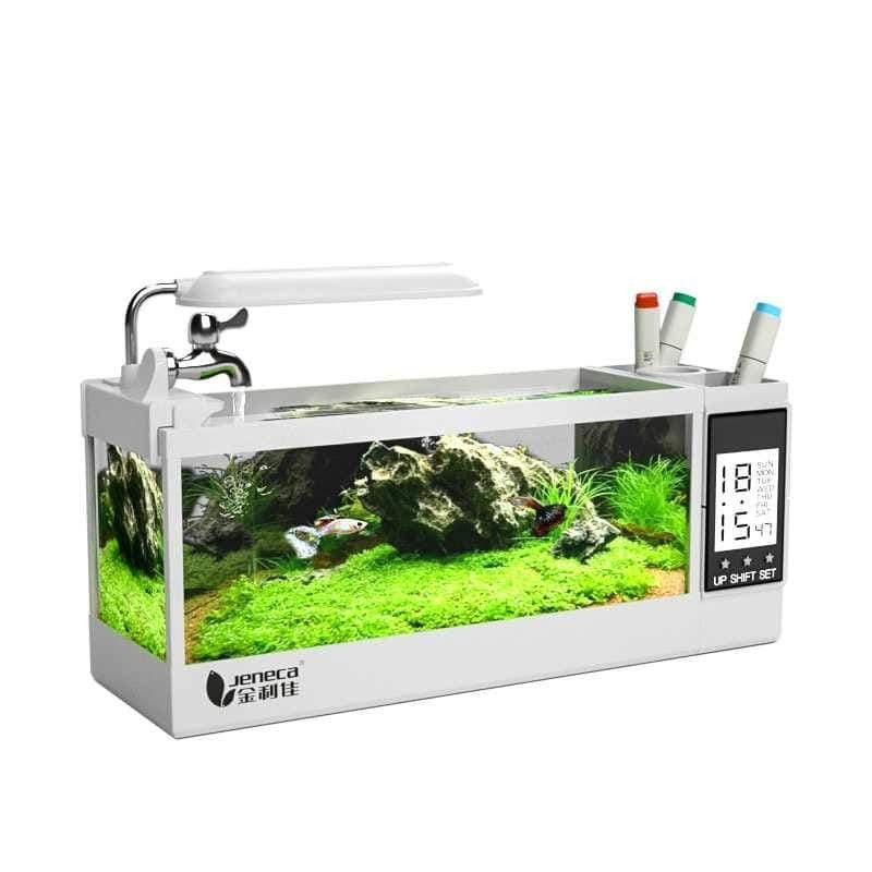 Bể Cá Mini Kèm Đồng Hồ Để Bàn Siêu Dễ Thương Jeneca TG-03