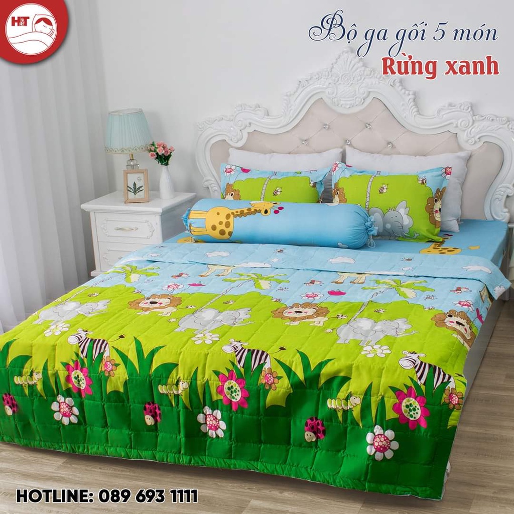 Bộ chăn hè trần bông ga gối 5 món poly cotton Hàn Quốc hàng loại 1 | BigBuy360 - bigbuy360.vn