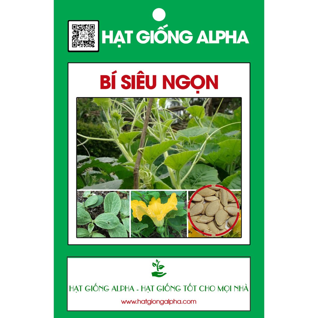 Hạt giống bí siêu ngọn năng suất cao - Sản phẩm trồng thử tập làm vườn cùng Tạ Gia Trang