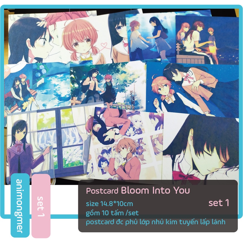 postcard bưu thiếp bloom into you