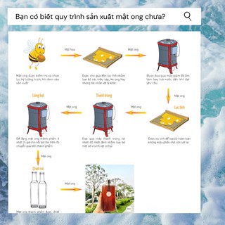 MẬT ONG HOA CÀ PHÊ 1 lit <nguyên chất>