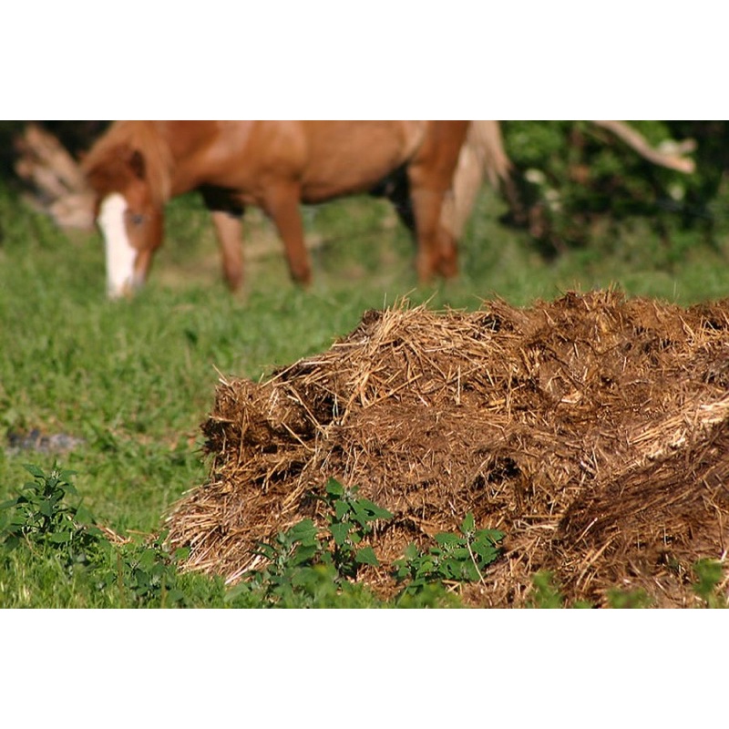 500g Phân Bò Khô Nguyên Chất