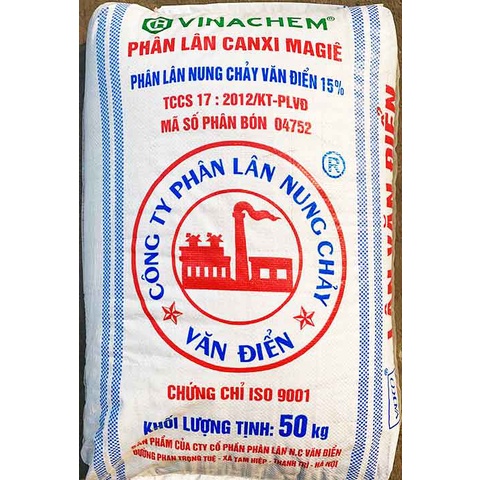 Phân lân Văn Điển  giúp cây trồng phát triển rễ, tạo mầm hoa, đẻ nhánh