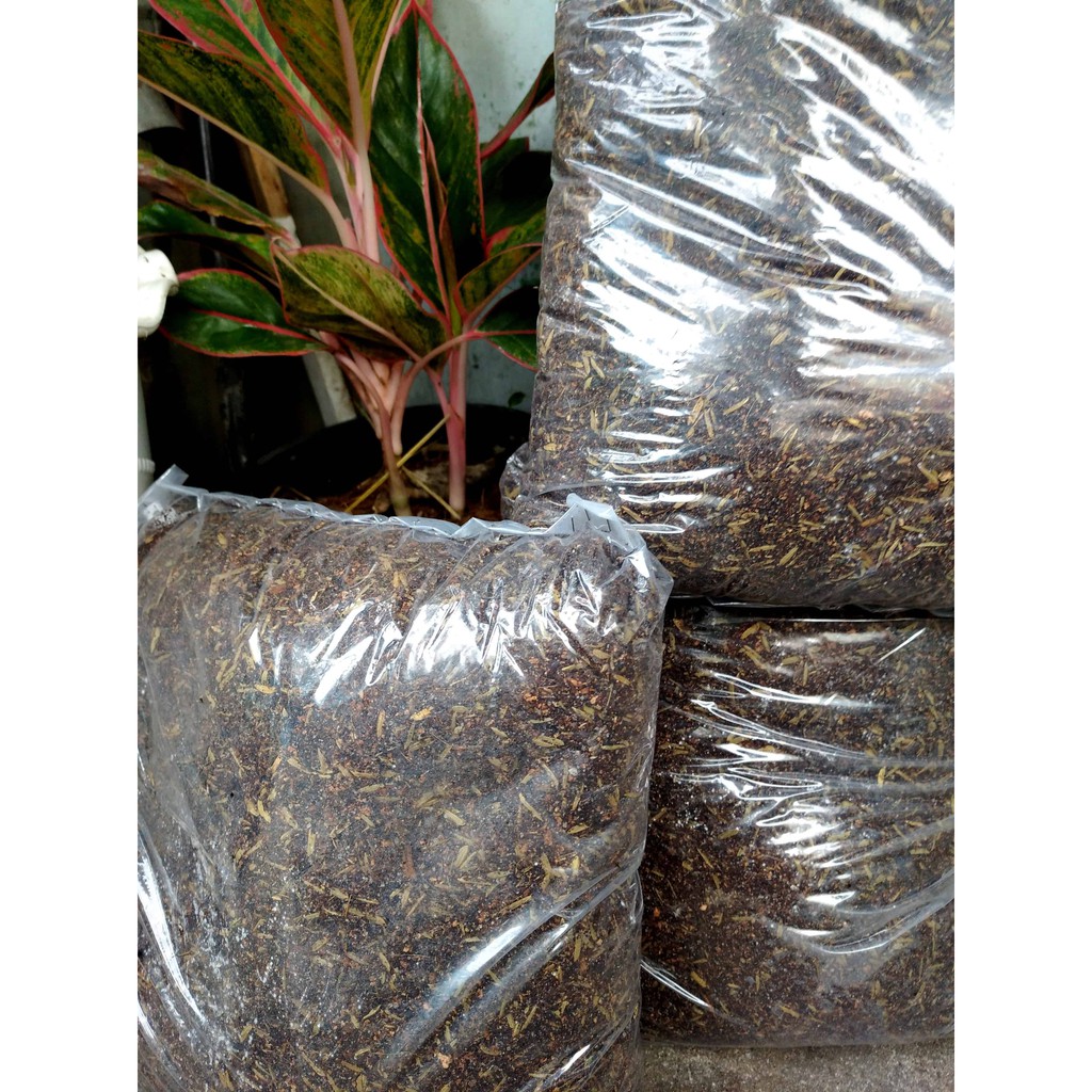Đất trồng mai giá thể trồng mai 2kg