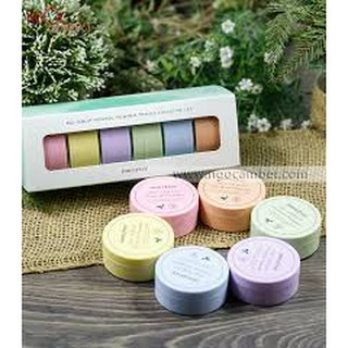 Phấn phủ kiềm dầu Innisfree