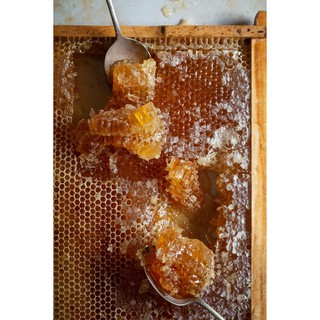Mật Ong Hoa Cà Phê Organic Nguyên Chất (1 lít)