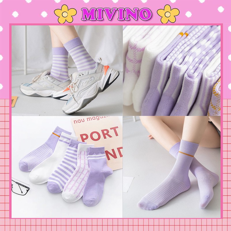 Set 5 đôi tất cổ cao Mivino tất hàn quốc tone tím nhẹ nhàng thơ mộng TN64