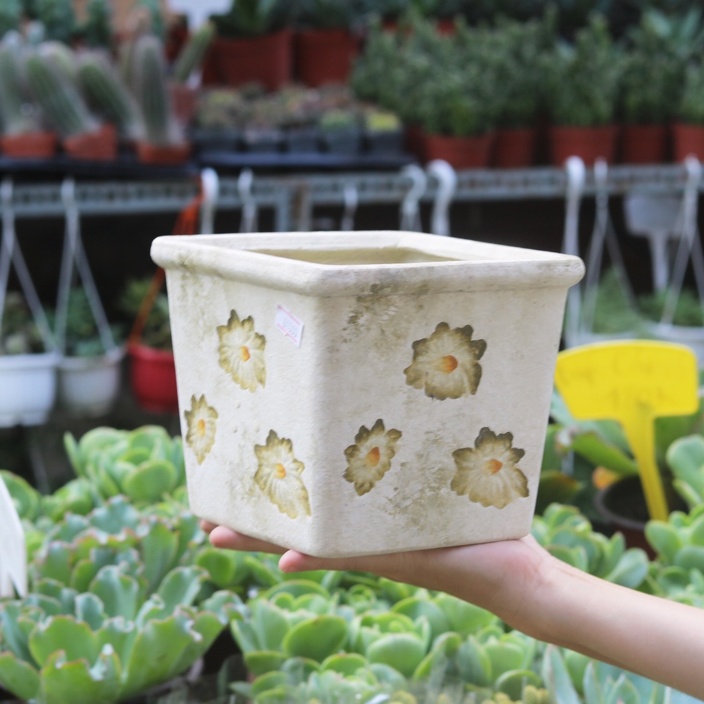Chậu đất trồng cây hoa văn kiểu dáng retro, vintage