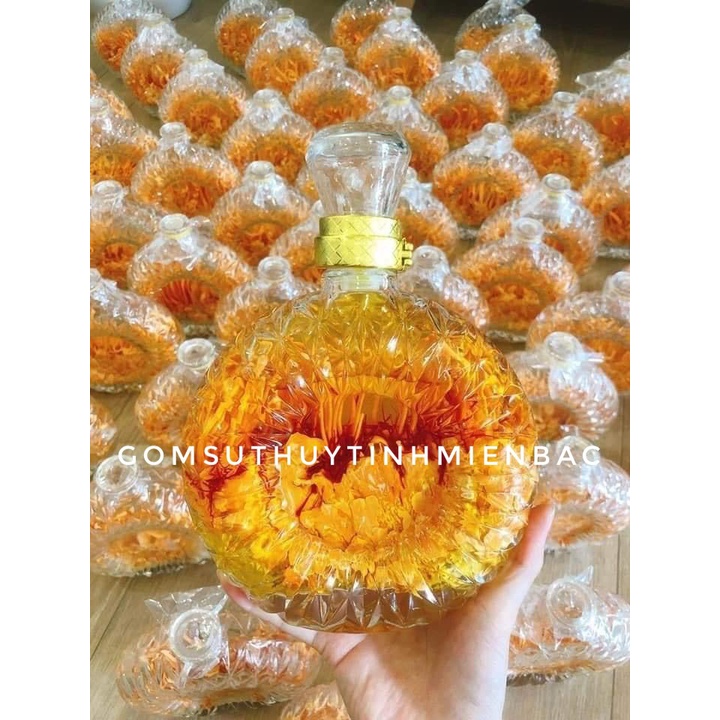 Chai thủy tinh/ Bình thủy tinh đựng rượu đông trùng 500ml