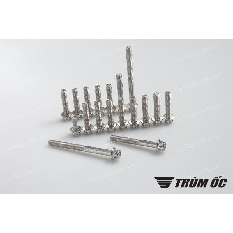 Ốc máy Raider xăng cơ inox CNC Thailand