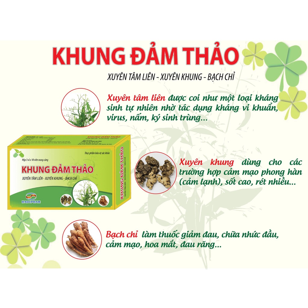 Viên uống xuyên tâm liên Khung đảm thảo hỗ trợ cảm cúm giảm ho đau ...