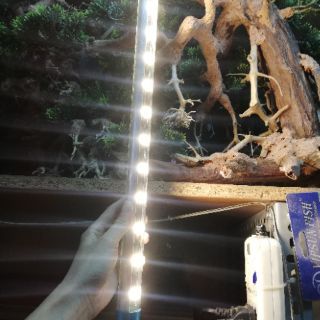 Đèn led 2 hàng bóng cho hồ cá 55cm/75cm/92cm