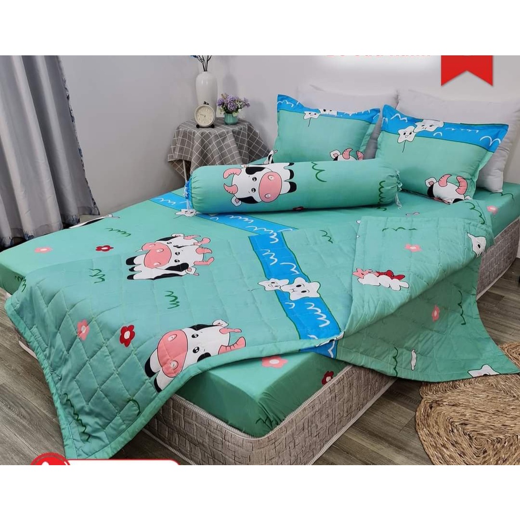 Chăn hè thu trần bông poly cotton,nhiều mẫu lựa chọn