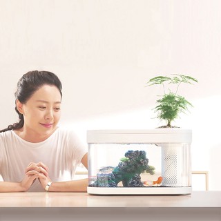 Bể cá thủy sinh , bể cá cảnh